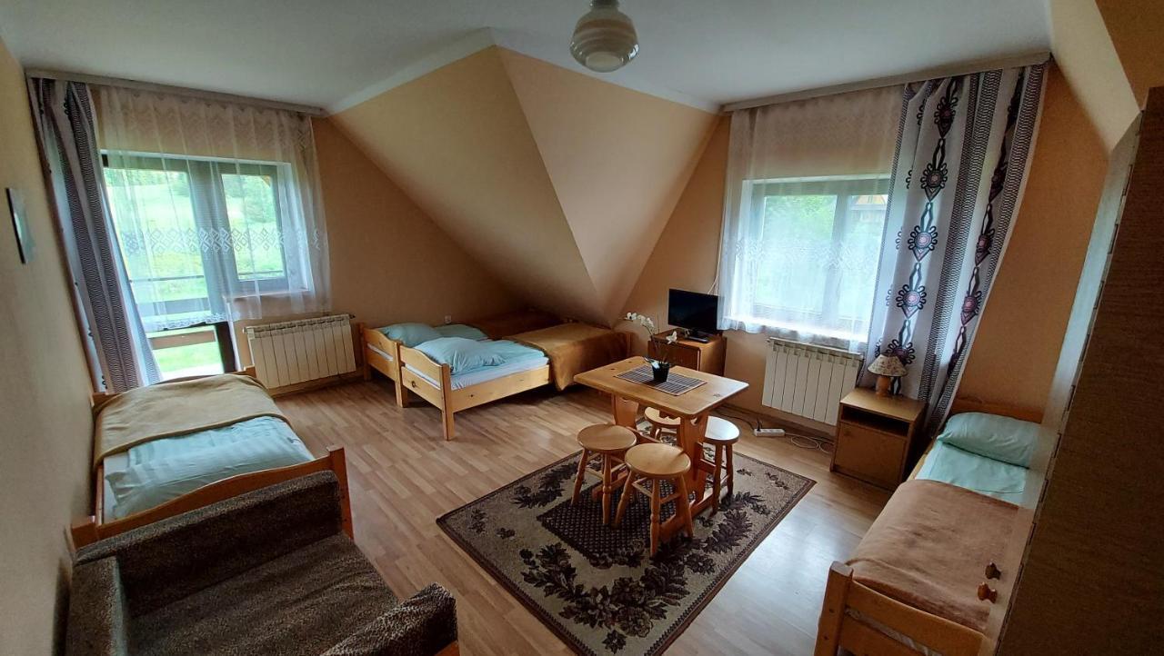 Willa Pod Kopiencem Zakopane Cameră foto
